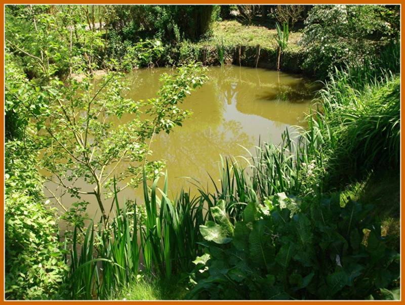 MAISON - T6 - SAINT MARTIN LA CAMPAGNE