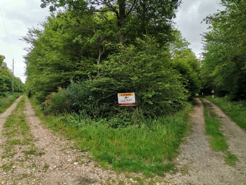 Terrain Guichainville Par Saint-Michel Immobilier Evreux