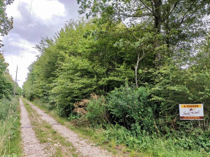 Terrain Guichainville Par Saint-Michel Immobilier Evreux