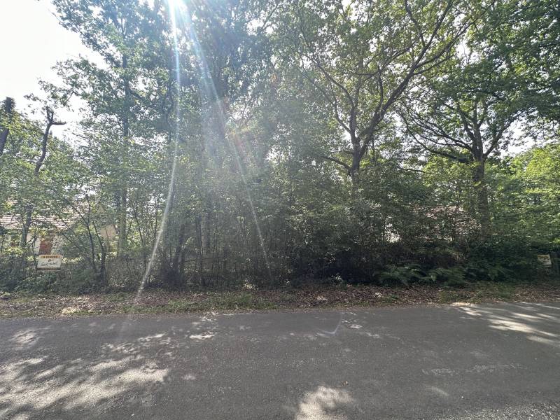 OPPORTUNITÉ IMMOBILIÈRE À FERRIÈRES-HAUT-CLOCHER TERRAIN 2 305 M² VIABILISÉ ENVIRONNEMENT VERDOYANT